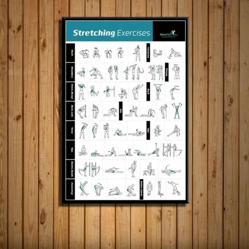 Body Exercise Training Chart G - Home Gym Minimalist avis et prix